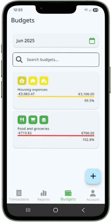 Budget planning and tracking feature